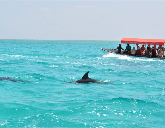 Snorkeling at Mnemba Atoll