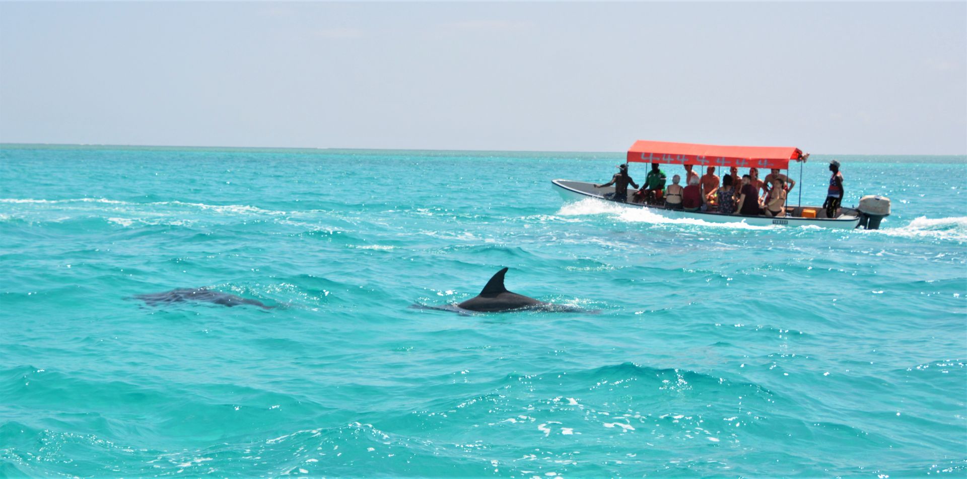 Snorkeling at Mnemba Atoll