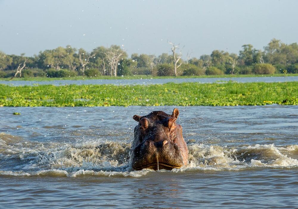 Selous Game Reserve