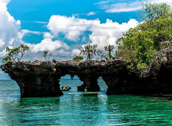 Blue Safari adventure in Zanzibar