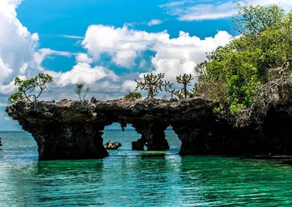 Blue Safari adventure in Zanzibar