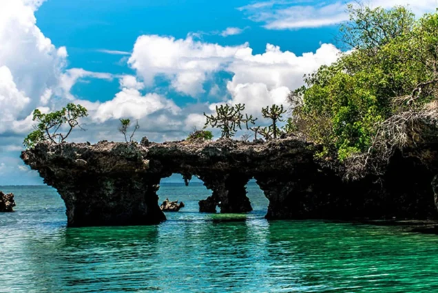 Blue Safari adventure in Zanzibar